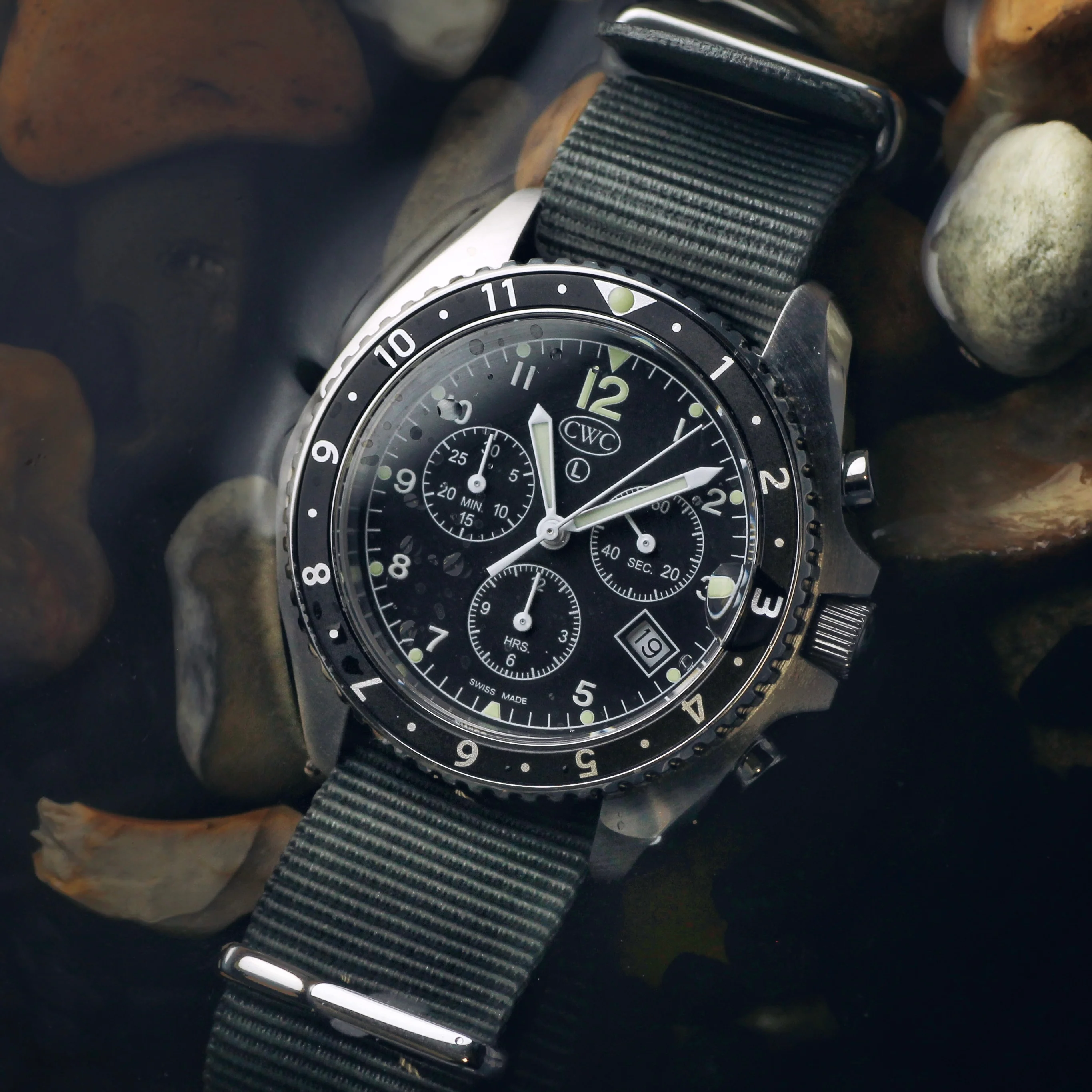 Cabot Sea Falcon Watch - Image 10
